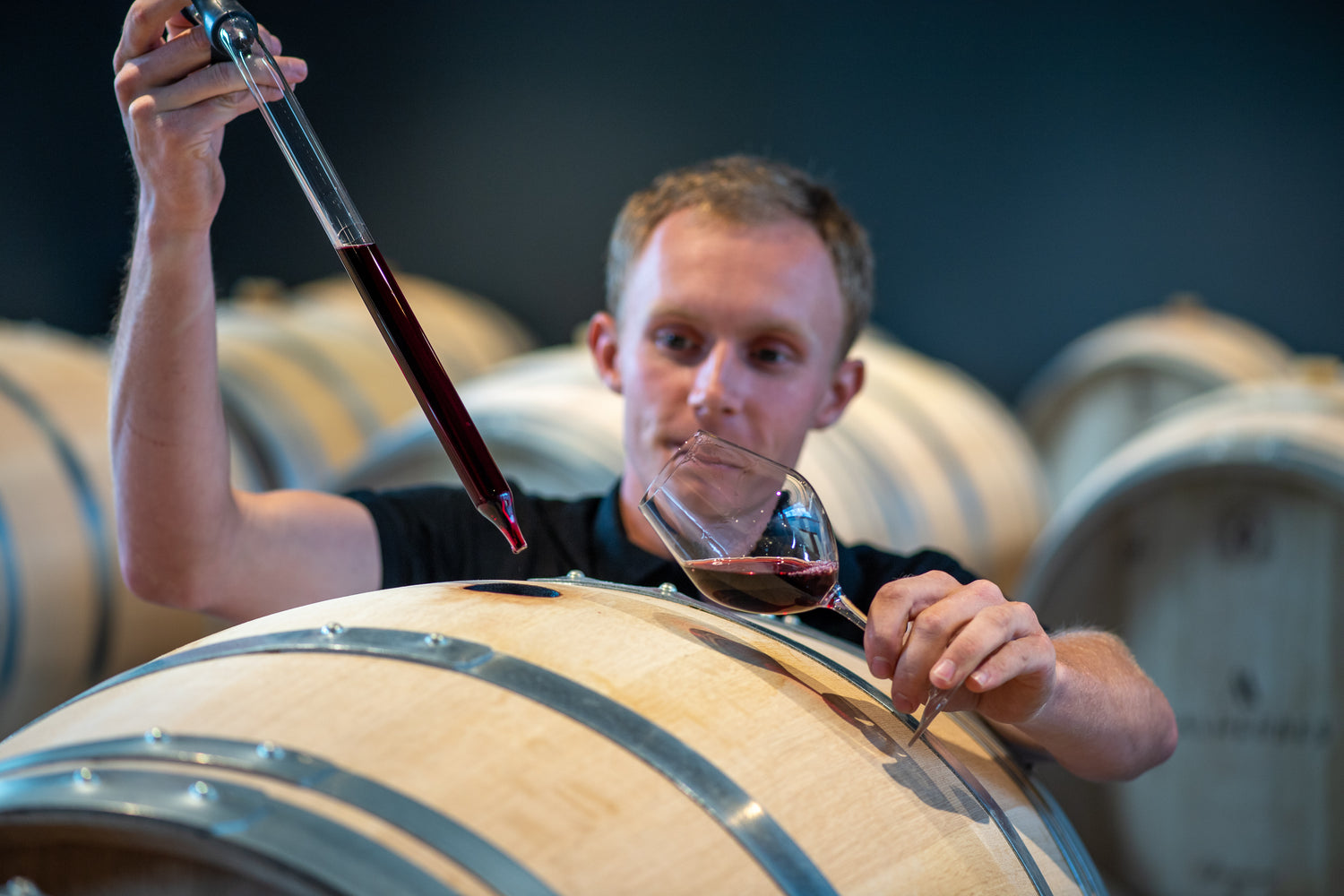 Cellar master serving wine straight from the barrel for a tasting / maître de chai en train de servir le vin directement d'une barrique