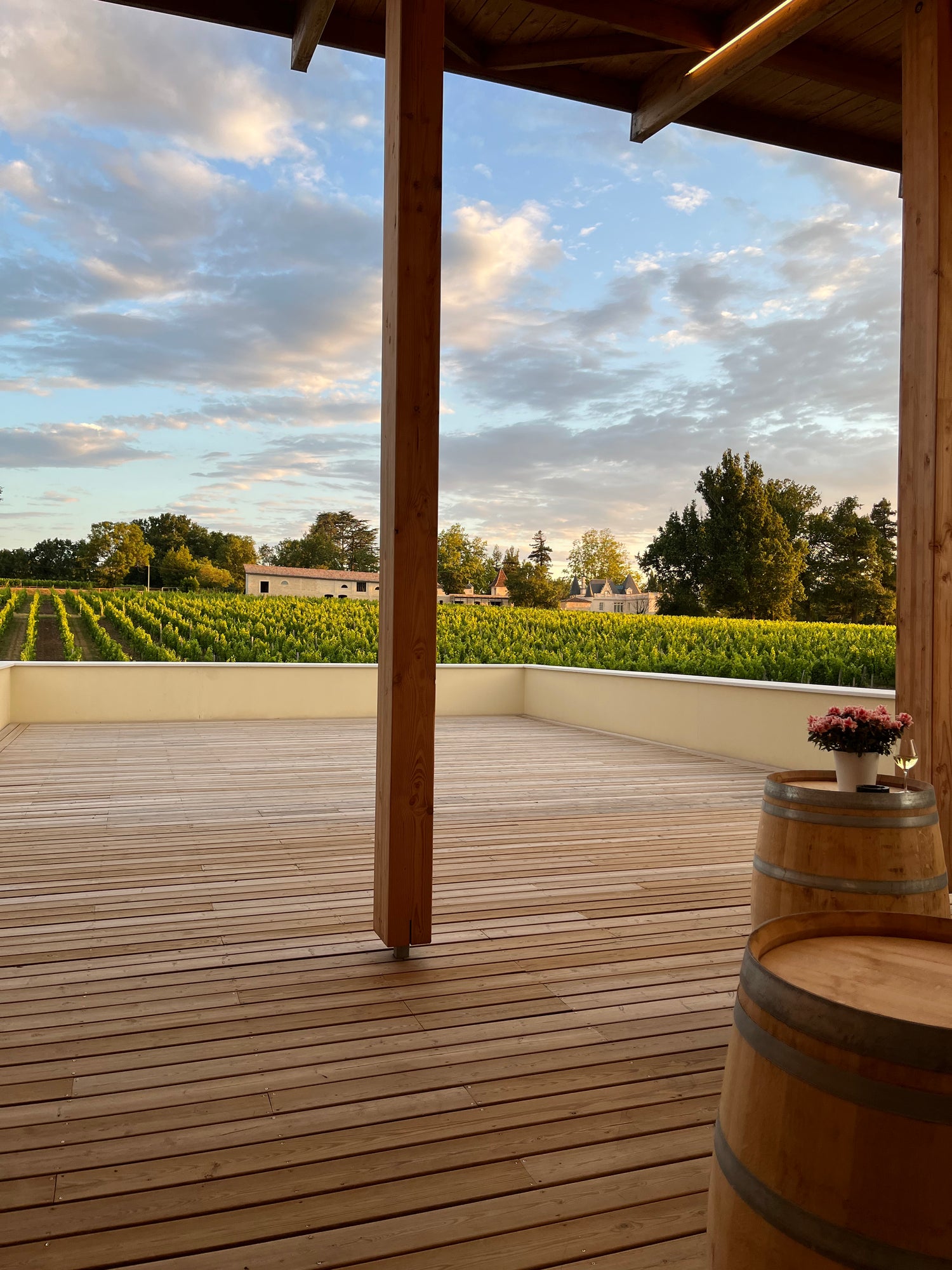 Une terrasse entourée de vignes avec vue sur le château
