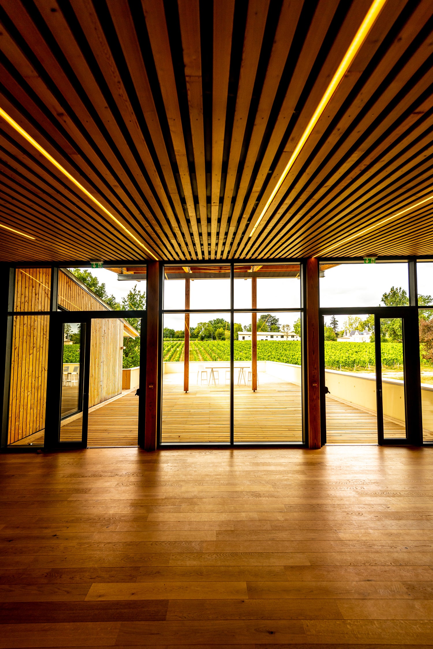 Une salle de location dans le vignoble avec une terrasse panoramique avec la vue sur les vignes