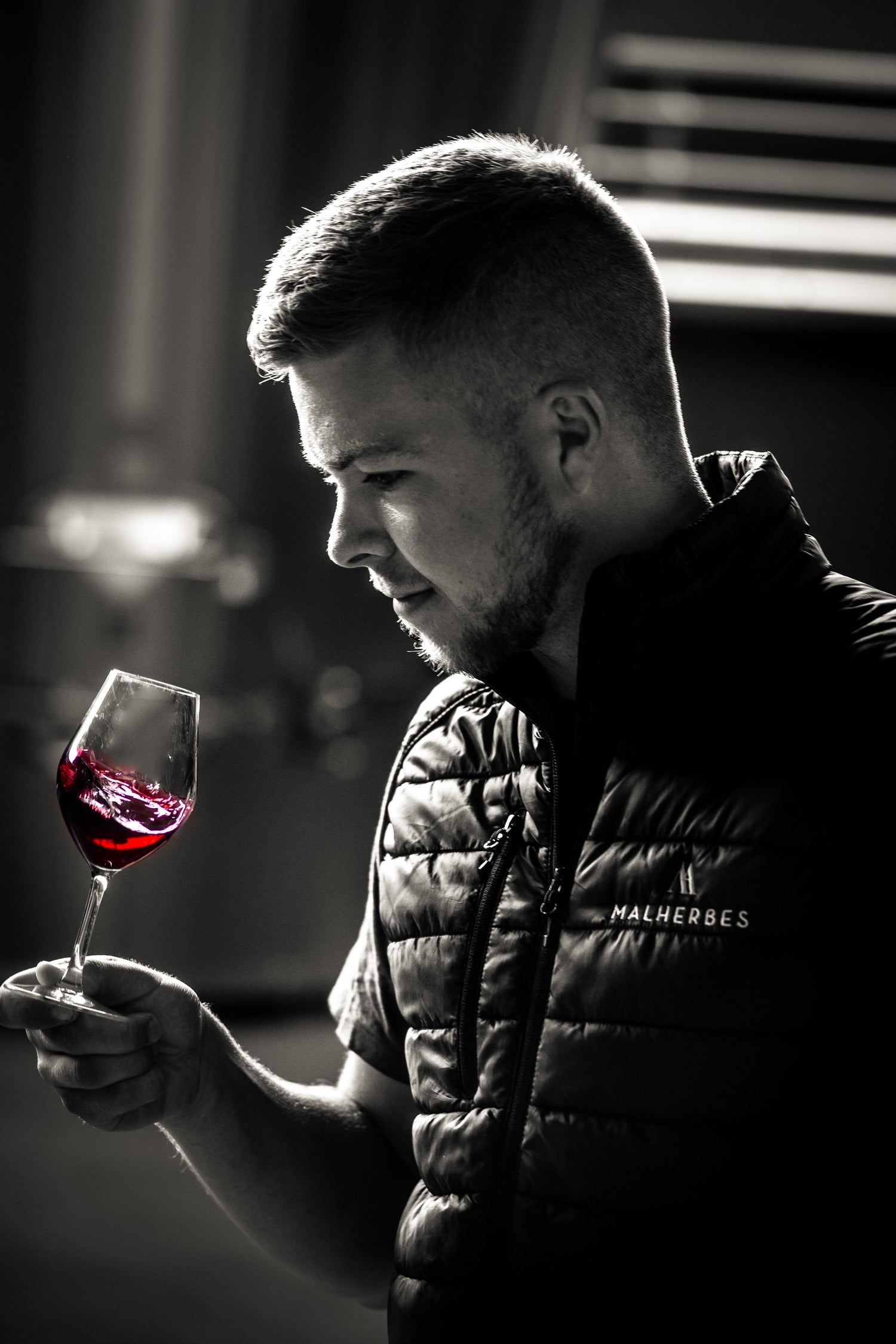 Cellar master's assistant is tasting red wine / L'assistant du maître de chai déguste du vin rouge