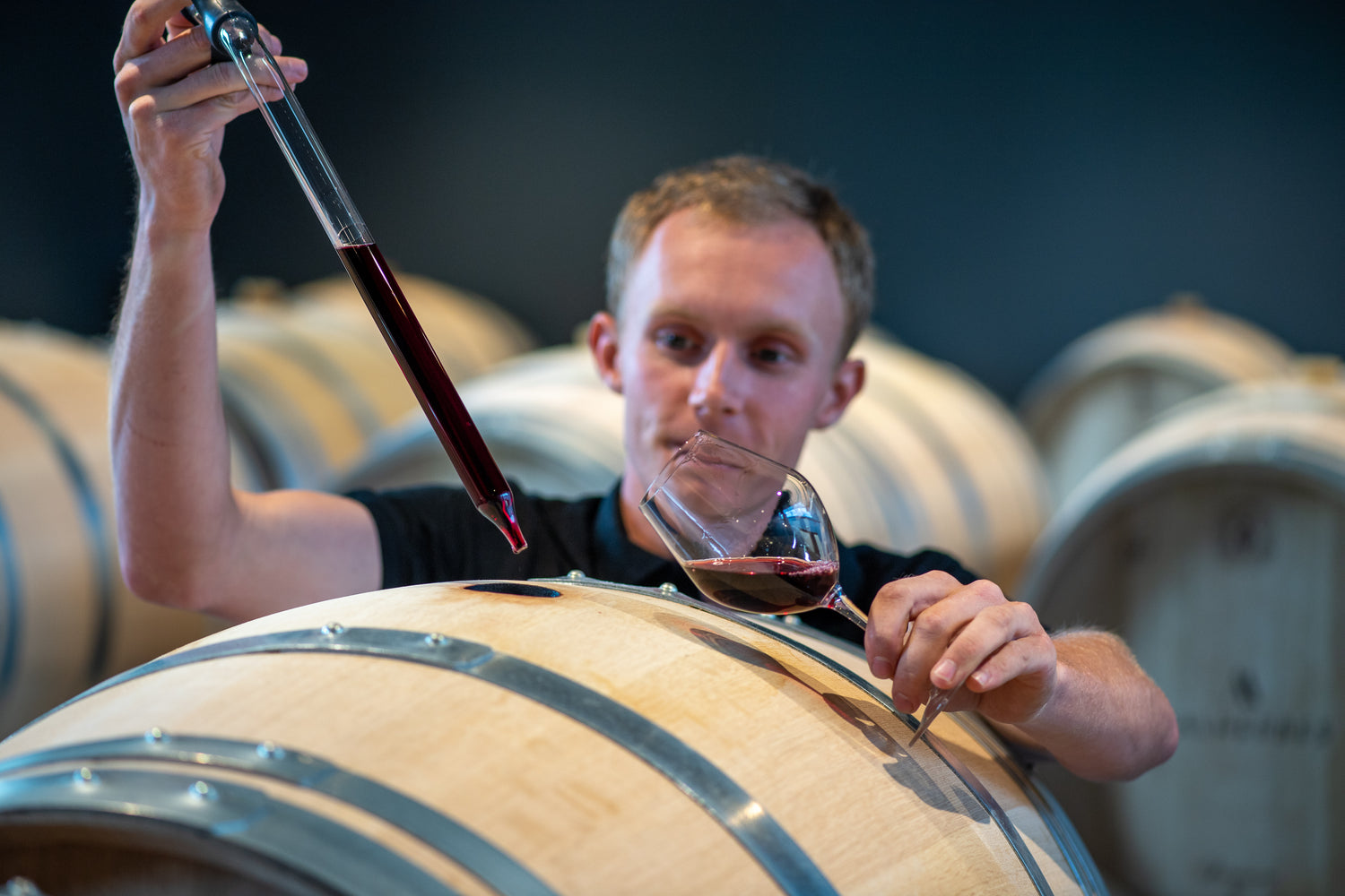 Cellar master serving wine straight from the barrel for a tasting / maître de chai en train de servir le vin directement d'une barrique 
