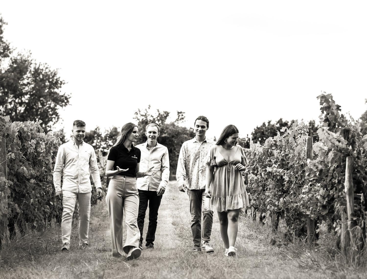 A groupe of visitors in the vineyard during a wine tour / une groupe de visiteur pendant une visite dans le vignes