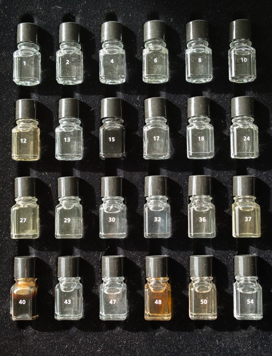 "The Senses of Malherbes" Visit